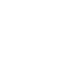 Branding Icon