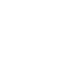 Global Icon
